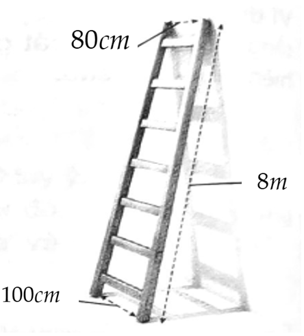 Hình minh họa câu hỏi